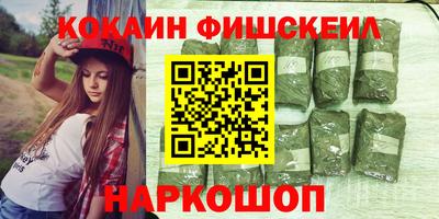 jwh Бийск