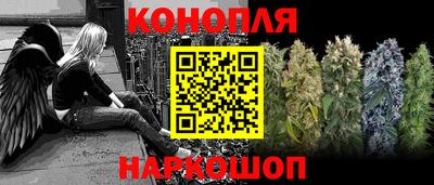 jwh Бийск