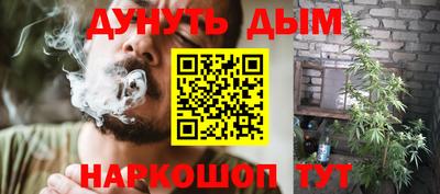 jwh Бийск