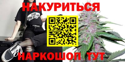 jwh Бийск