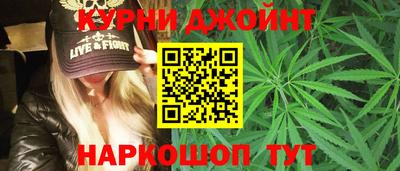 jwh Бийск