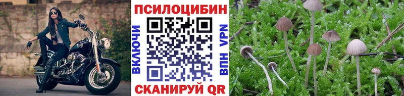 darknet состав  дарнет шоп  KRAKEN ССЫЛКА  Бузулук  Галлюциногенные грибы Psilocybe 