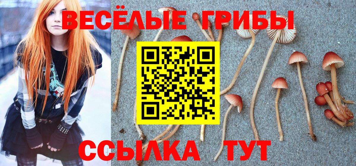 Бузулук  Галлюциногенные грибы ЛСД  Вход с VPN 