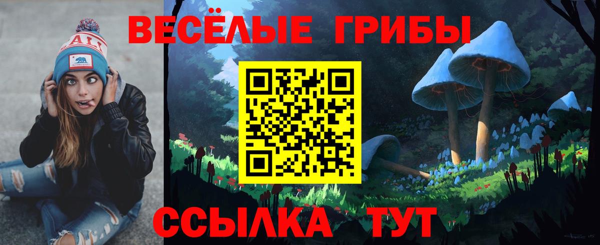 Псилоцибиновые грибы прущие грибы Бузулук
