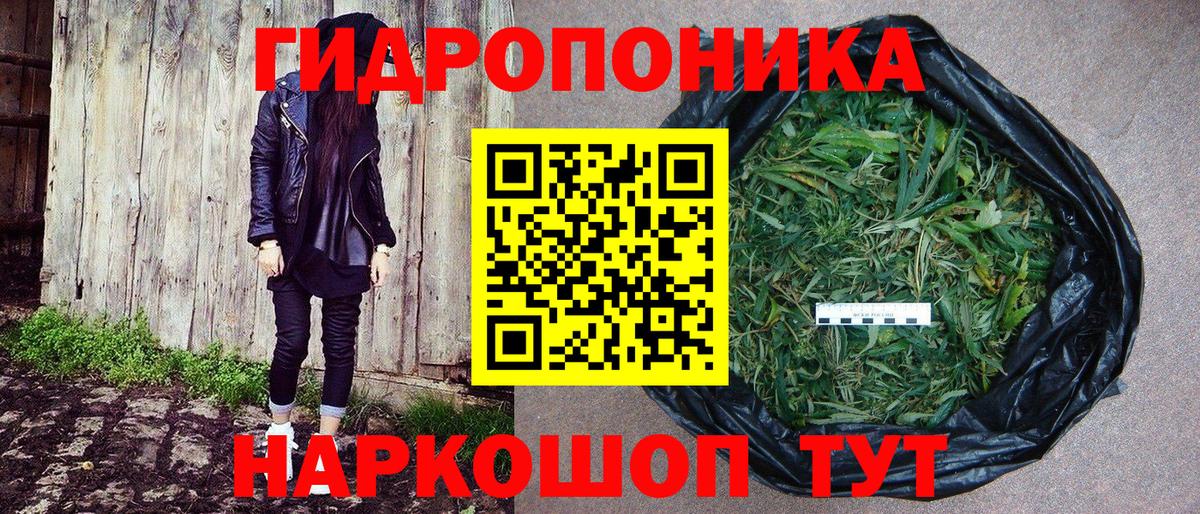 Конопля план Бузулук